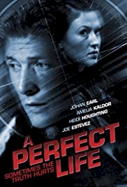 A Perfect Life - Movie Poster A Perfect Life - Movie Poster