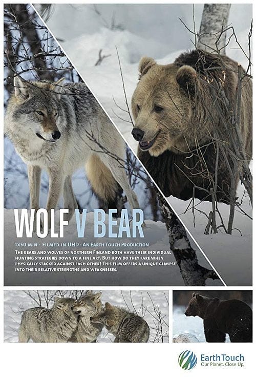 Wolf vs Bear - Movie Poster Wolf vs Bear - Movie Poster