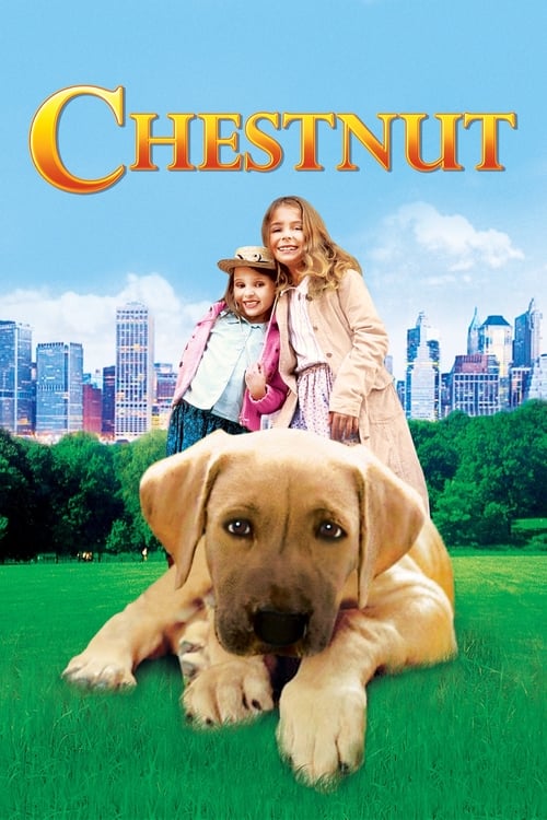 Chestnut: Hero of Central Park - Movie Poster Chestnut: Hero of Central Park - Movie Poster