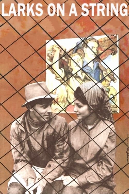 Larks on a String - Movie Poster Larks on a String - Movie Poster