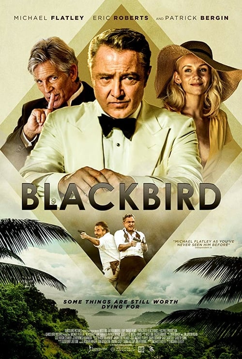 Blackbird - Movie Poster