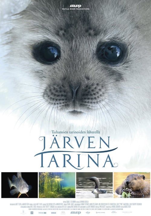 Tale of a Lake - Movie Poster Tale of a Lake - Movie Poster