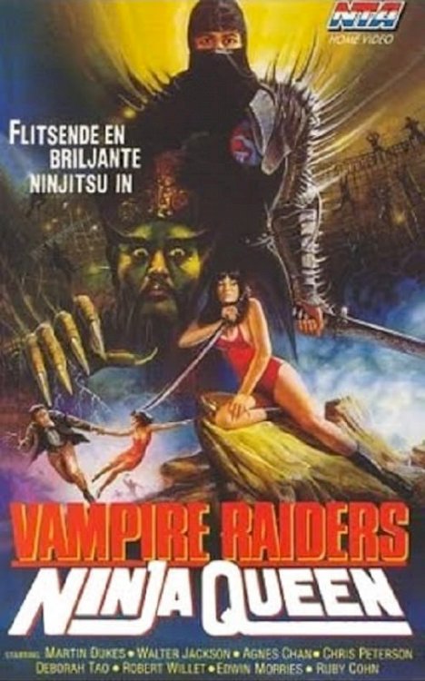The Vampire Raiders - Movie Poster