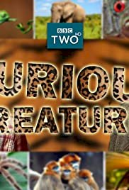 Curious Creatures - Movie Poster Curious Creatures - Movie Poster