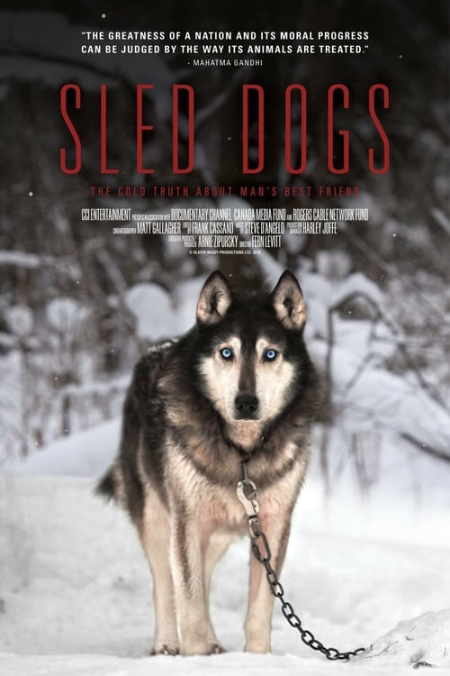 Sled Dogs - Movie Poster Sled Dogs - Movie Poster