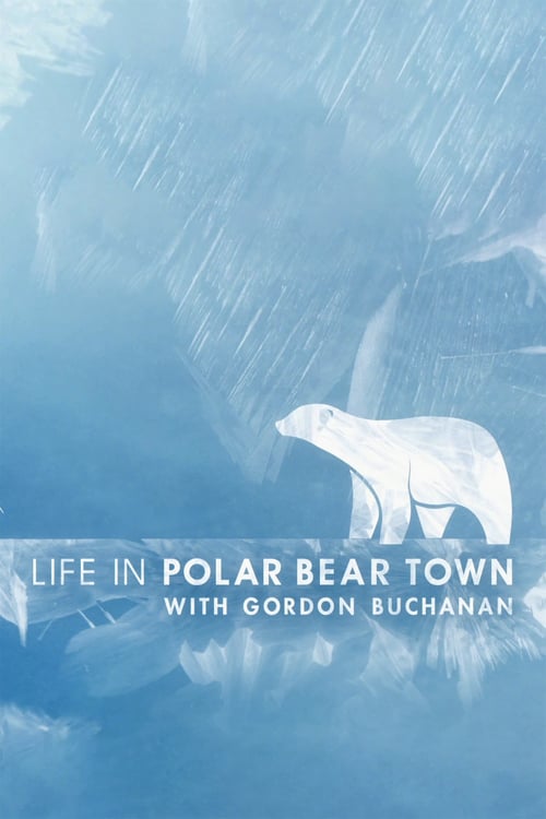 Life in Polar Bear Town with Gordon Buchanan - Movie Poster Life in Polar Bear Town with Gordon Buchanan - Movie Poster