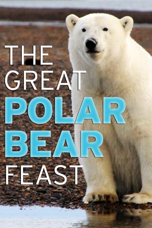 The Great Polar Bear Feast - Movie Poster The Great Polar Bear Feast - Movie Poster