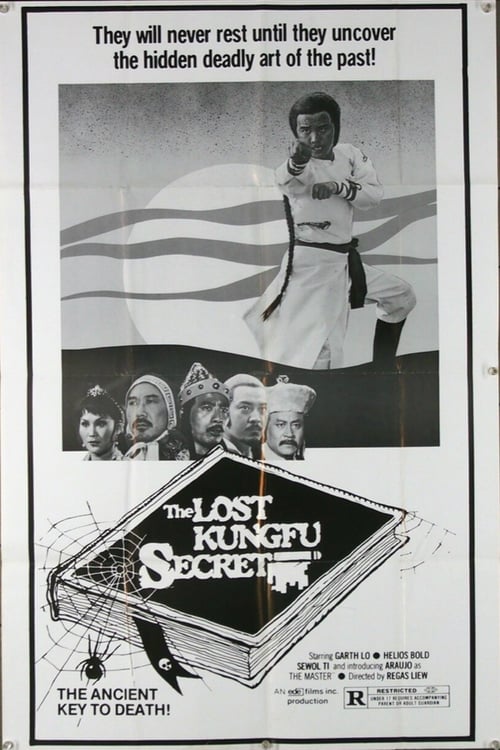 The Lost Kung Fu Secrets - Movie Poster The Lost Kung Fu Secrets - Movie Poster