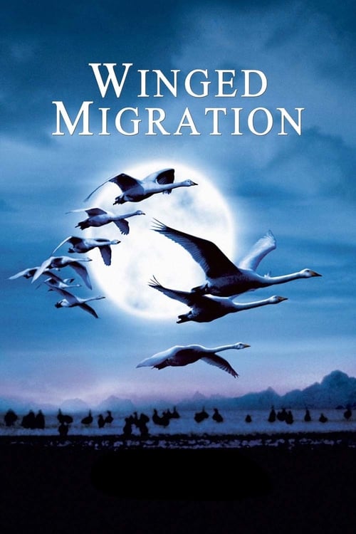 Winged Migration - Movie Poster Winged Migration - Movie Poster
