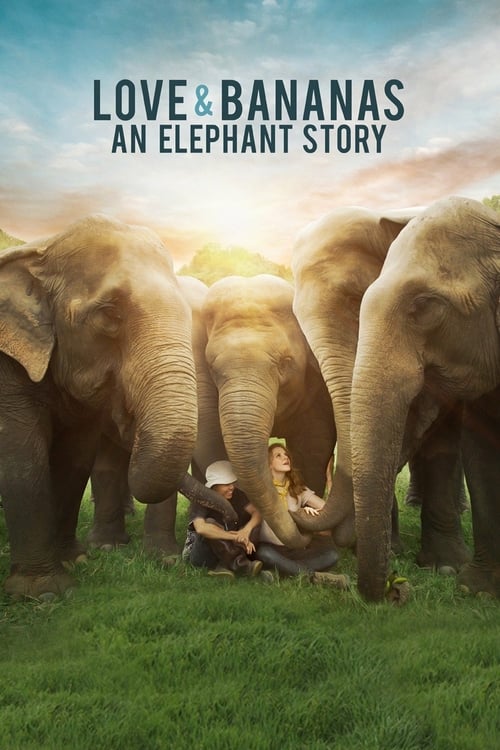 Love & Bananas: An Elephant Story - Movie Poster Love & Bananas: An Elephant Story - Movie Poster