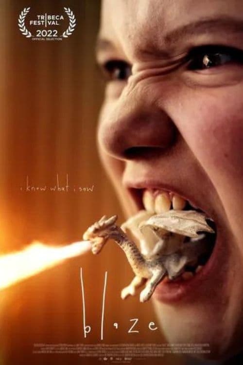 Blaze - Movie Poster Blaze - Movie Poster