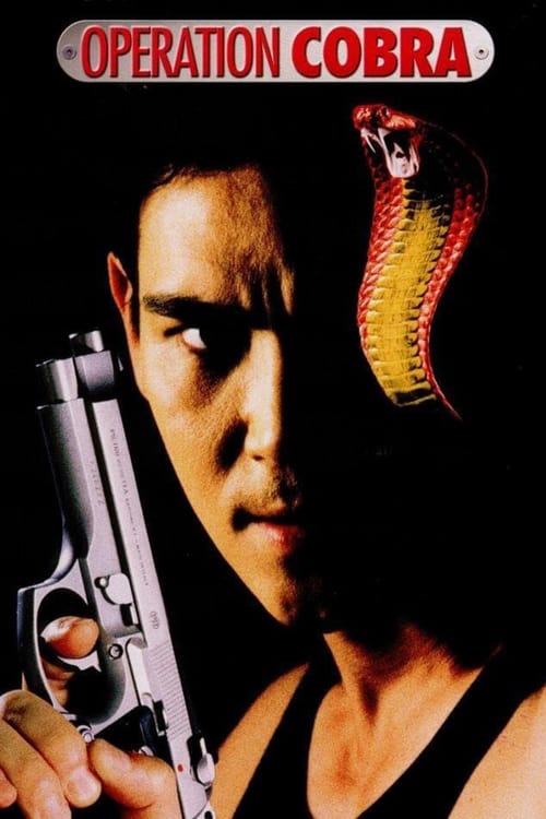 Operation Cobra - Movie Poster Operation Cobra - Movie Poster