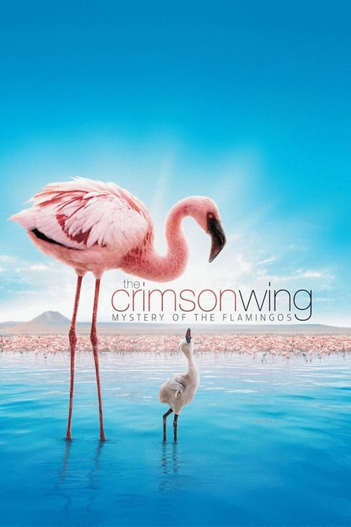 The Crimson Wing: Mystery of the Flamingos - Movie Poster