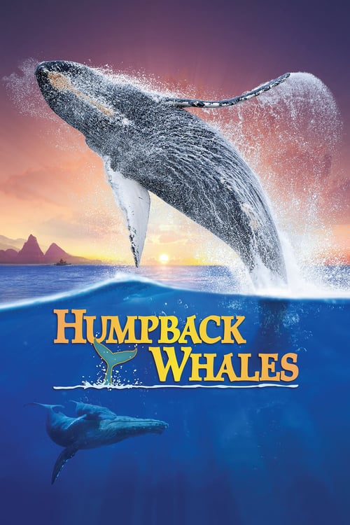 Humpback Whales - Movie Poster Humpback Whales - Movie Poster