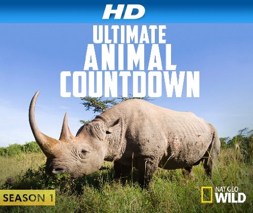 Ultimate Animal Countdown - Movie Poster Ultimate Animal Countdown - Movie Poster