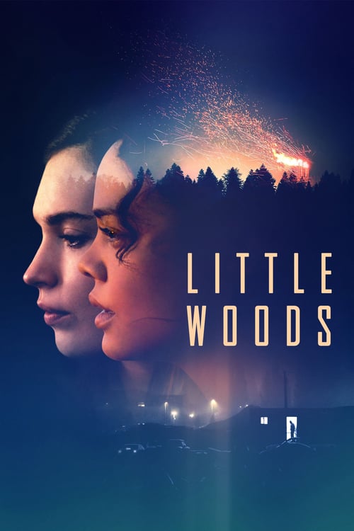 Little Woods - Movie Poster Little Woods - Movie Poster