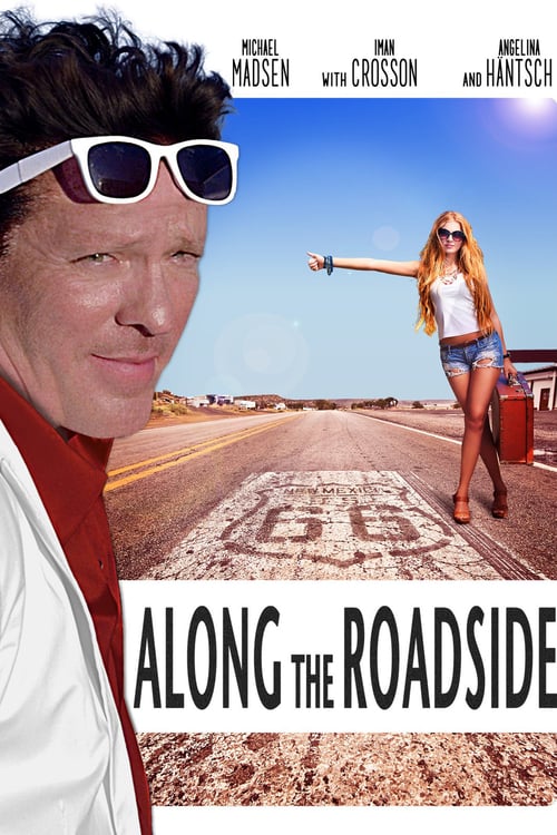 Along the Roadside - Movie Poster