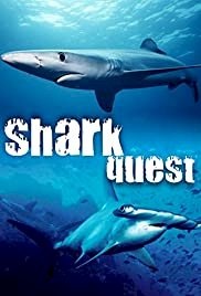Shark Quest - Movie Poster Shark Quest - Movie Poster