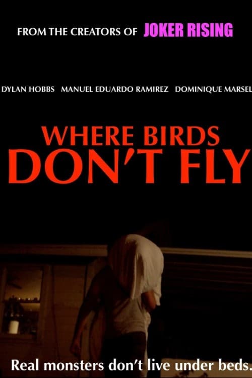Where Birds Don't Fly - Movie Poster Where Birds Don't Fly - Movie Poster