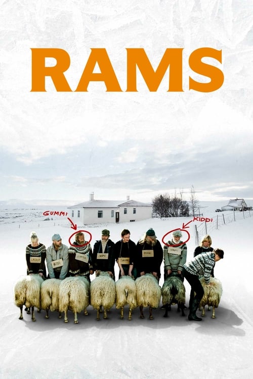 Rams - Movie Poster Rams - Movie Poster