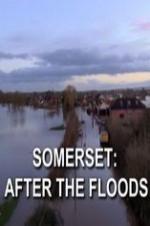 Somerset: After the Floods - Movie Poster Somerset: After the Floods - Movie Poster