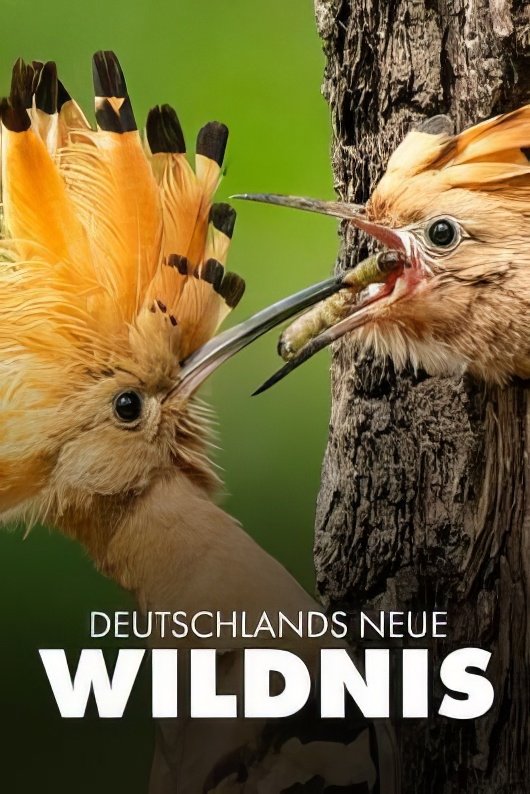 Deutschlands neue Wildnis - Movie Poster Deutschlands neue Wildnis - Movie Poster