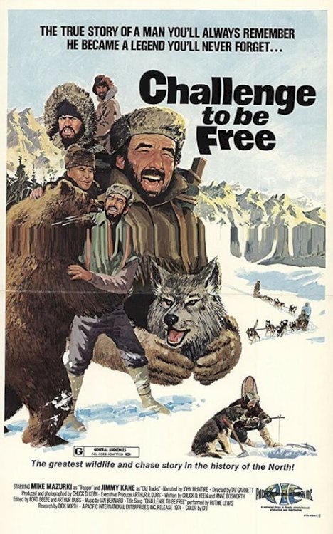 Challenge to be Free - Movie Poster