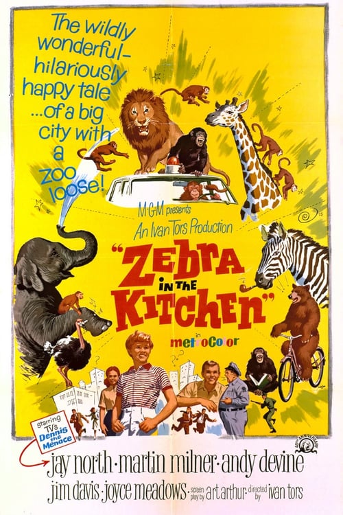 Zebra in the Kitchen - Movie Poster Zebra in the Kitchen - Movie Poster