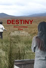 Destiny 2019 - Movie Poster Destiny 2019 - Movie Poster