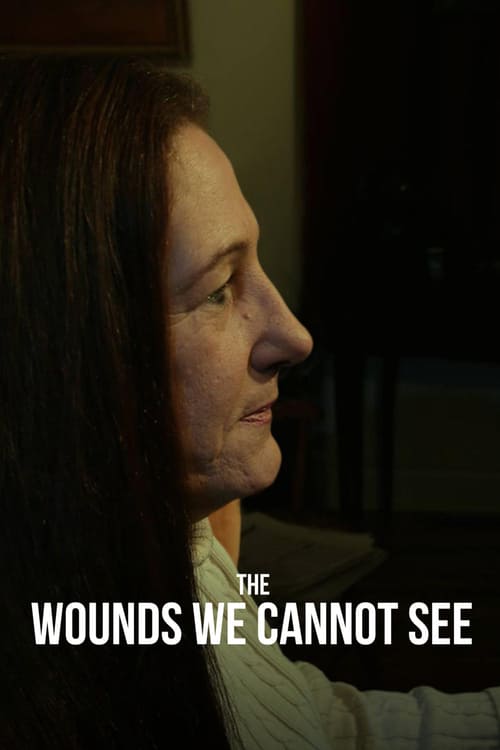 The Wounds We Cannot See - Movie Poster