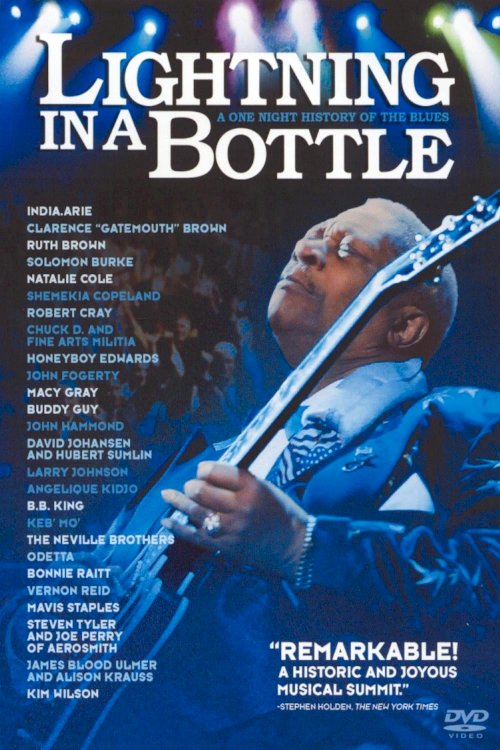 Lightning in a Bottle - Movie Poster Lightning in a Bottle - Movie Poster