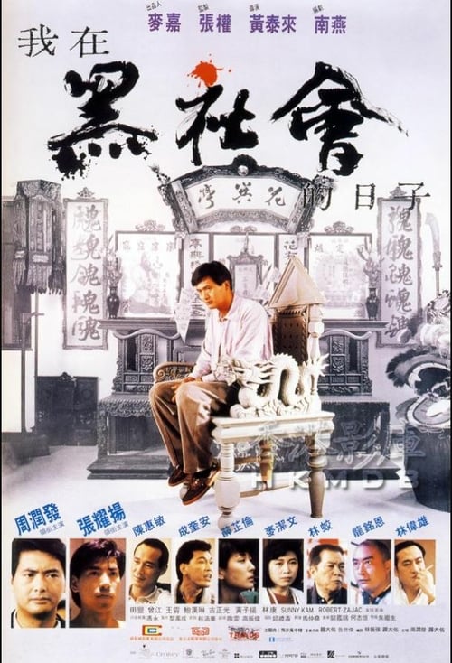 Triads: The Inside Story - Movie Poster Triads: The Inside Story - Movie Poster