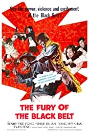 The Awaken Punch - Movie Poster The Awaken Punch - Movie Poster