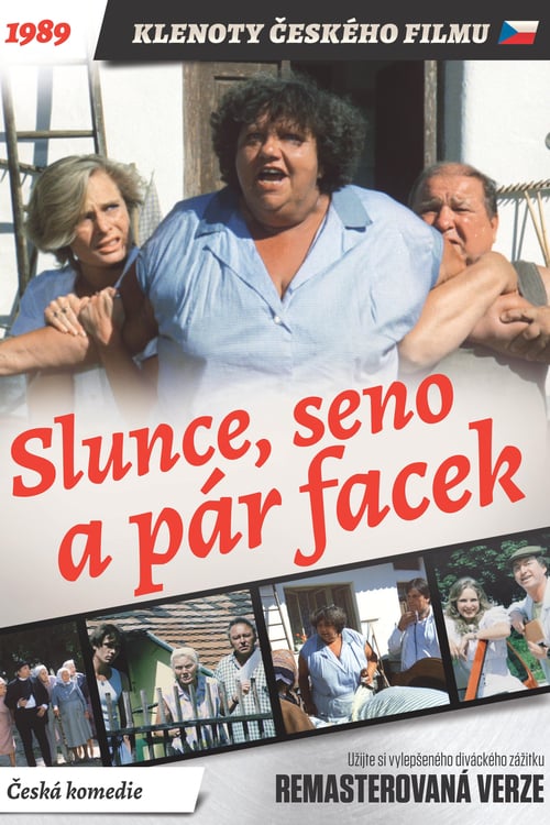 Sun, Hay and a Couple of Slaps - Movie Poster Sun, Hay and a Couple of Slaps - Movie Poster