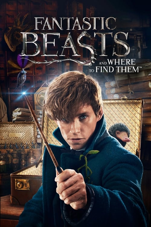 Fantastic Beasts and Where to Find Them - Movie Poster Fantastic Beasts and Where to Find Them - Movie Poster