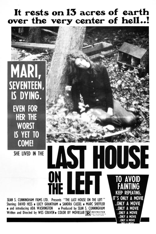 The Last House on the Left - Movie Poster The Last House on the Left - Movie Poster