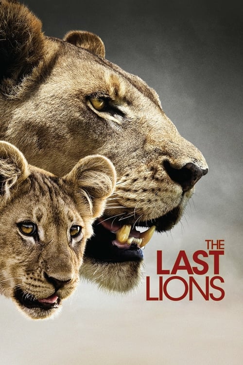The Last Lions - Movie Poster