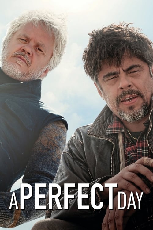 A Perfect Day - Movie Poster A Perfect Day - Movie Poster