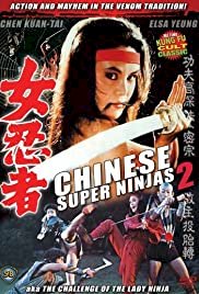 Challenge of the Lady Ninja - Movie Poster Challenge of the Lady Ninja - Movie Poster
