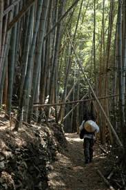 Visiting Sacred Places of the Tohoku Region - Movie Poster Visiting Sacred Places of the Tohoku Region - Movie Poster