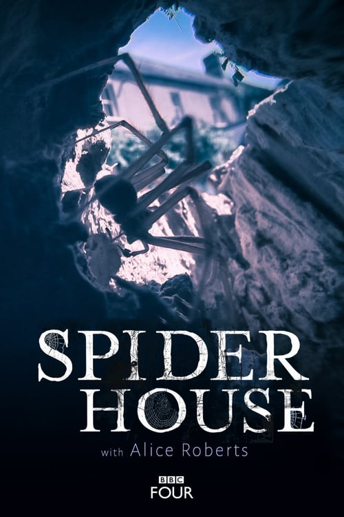 Spider House - Movie Poster Spider House - Movie Poster