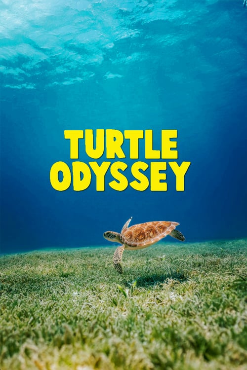 Turtle Odyssey - Movie Poster Turtle Odyssey - Movie Poster