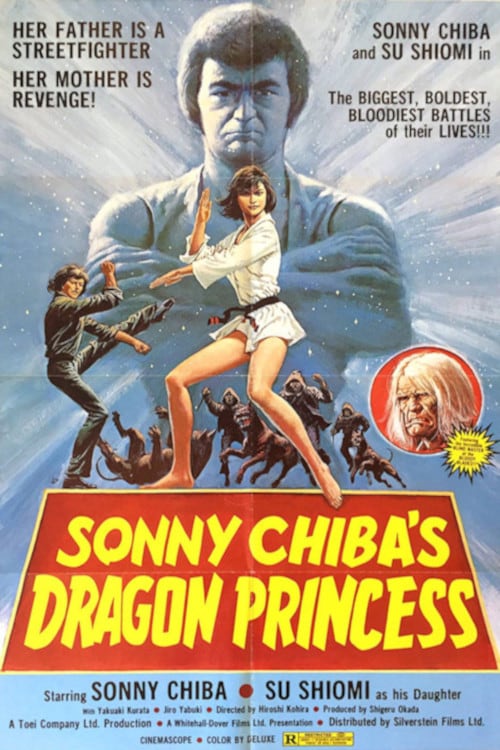 Dragon Princess - Movie Poster Dragon Princess - Movie Poster