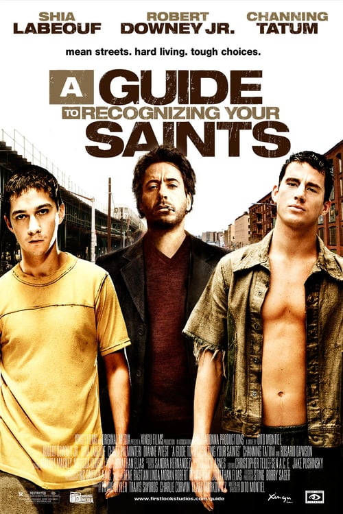 A Guide to Recognizing Your Saints - Movie Poster A Guide to Recognizing Your Saints - Movie Poster