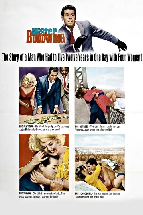 Mister Buddwing - Movie Poster Mister Buddwing - Movie Poster