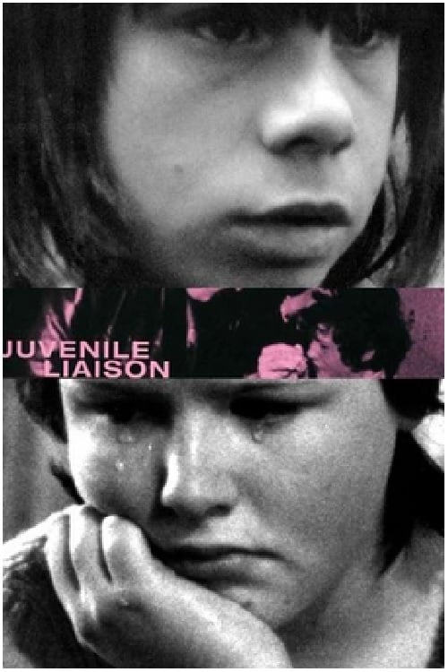Juvenile Liaison - Movie Poster