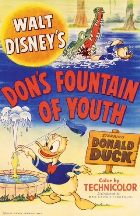 Don's Fountain of Youth - Movie Poster Don's Fountain of Youth - Movie Poster