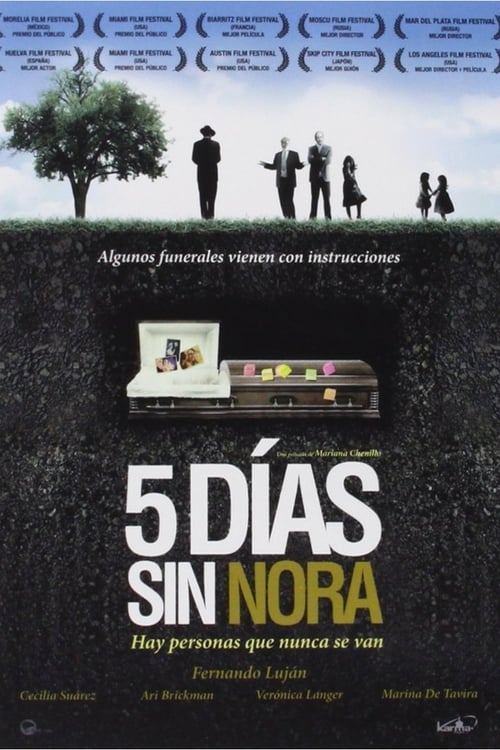 Nora's Will - Movie Poster