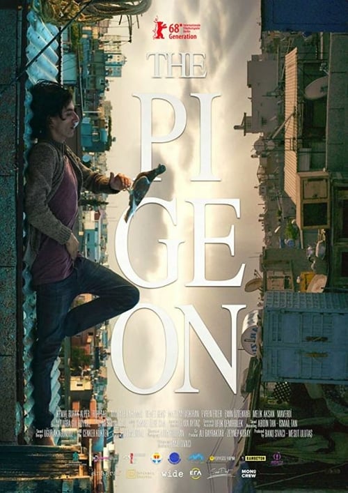The Pigeon - Movie Poster The Pigeon - Movie Poster