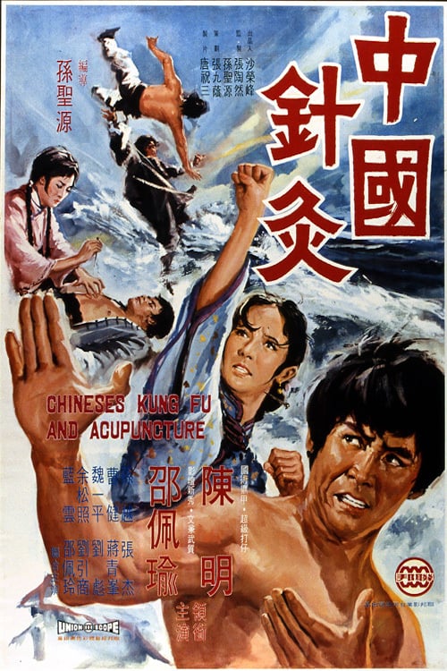Chinese Kung Fu and Acupuncture - Movie Poster Chinese Kung Fu and Acupuncture - Movie Poster